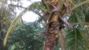 Jardín