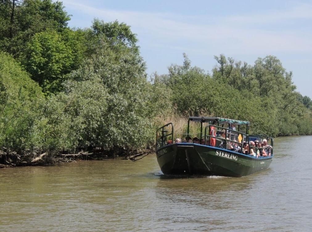 Een boot genaamd 'Sterling' op een rivier, omringd door weelderige begroeiing.