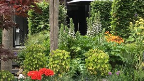 Een tuin met verschillende planten en bloemen, een houten hek en een gebouw met een balkon.