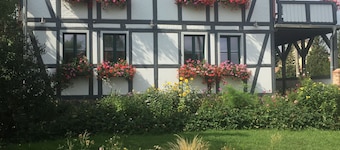 Cozy vacation apartment with fireplace in the Harz I