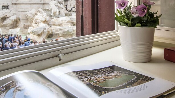 A window with a view of a classical building, a potted plant, and an open book.