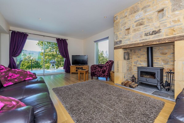 Télévision, cheminée, lecteur de DVD