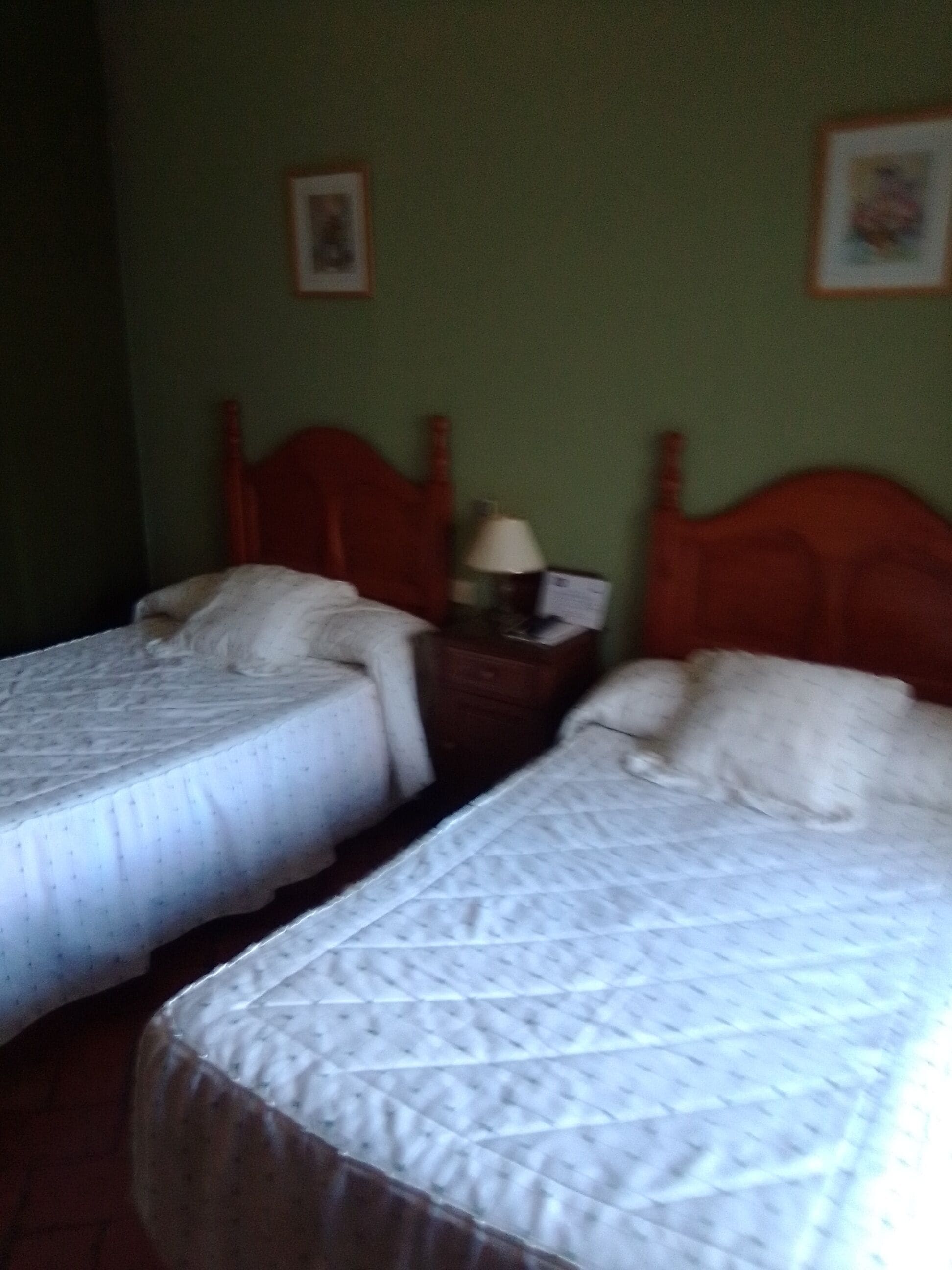 A room with two beds, a nightstand with a lamp, and a framed picture on the wall.