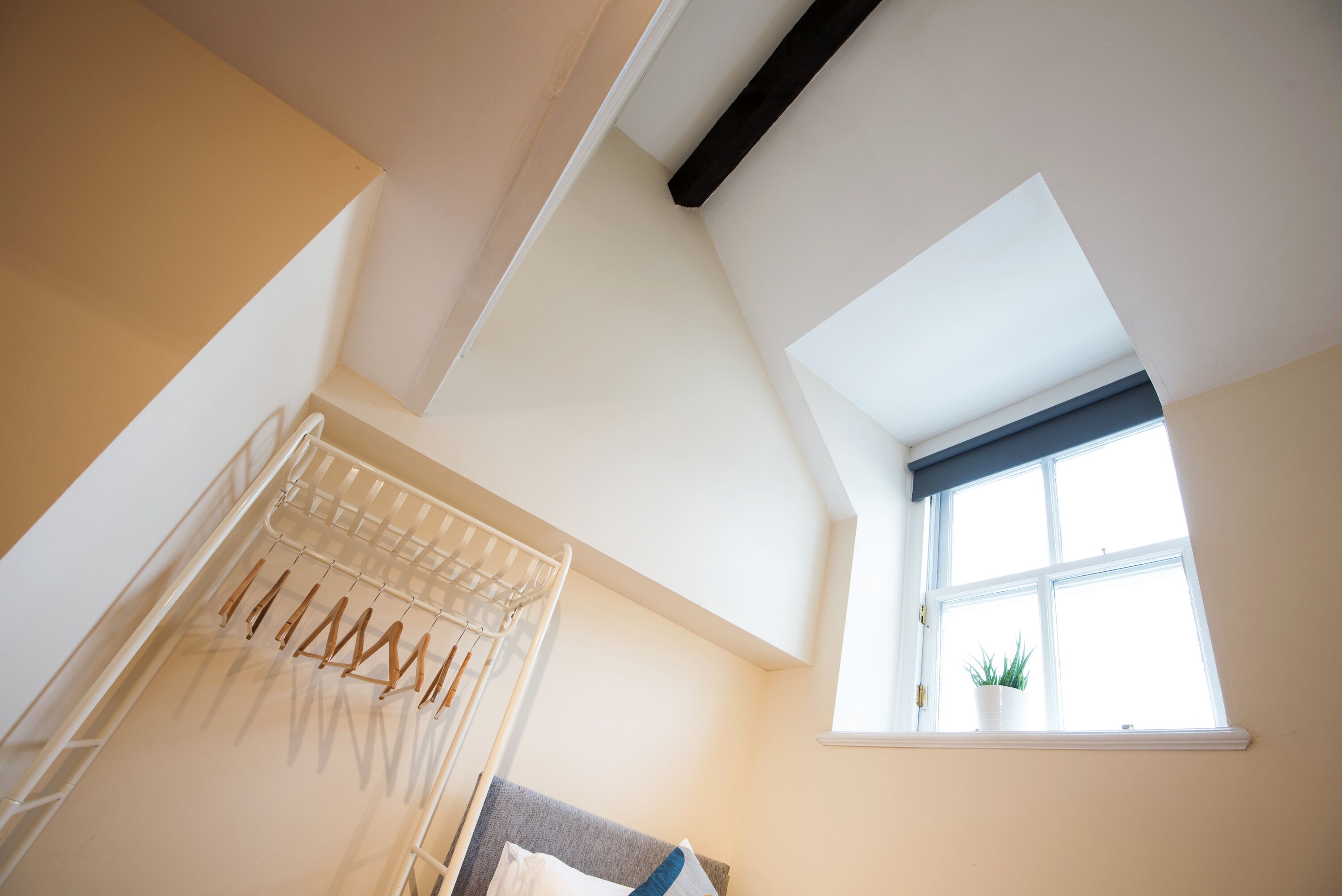 A room with a skylight, a window with a plant, and a drying rack.