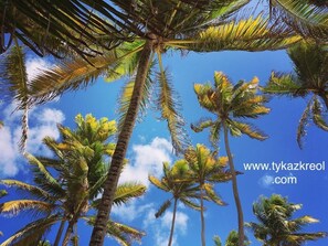 Property grounds - TY KAZ KREOL BUNGALOWS WITH POOL ... (Le Diamant)