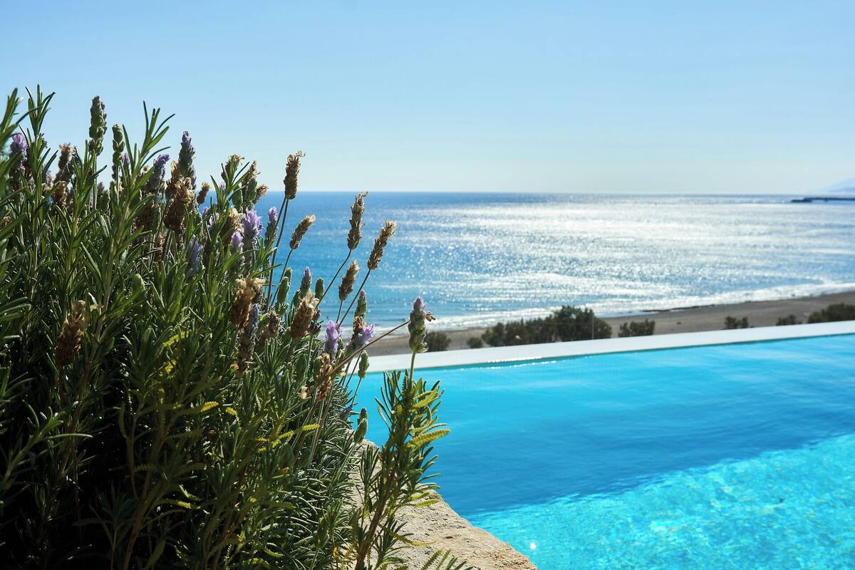 A pool with a view of the sea, surrounded by greenery.