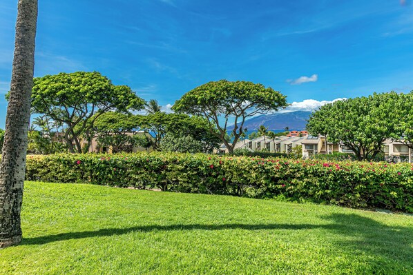 A lush green lawn, a row of trees, and a building with a mountain in the background.