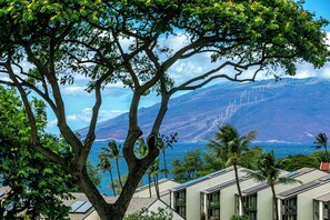 A tree-lined view with a mountain and wind turbines in the background.