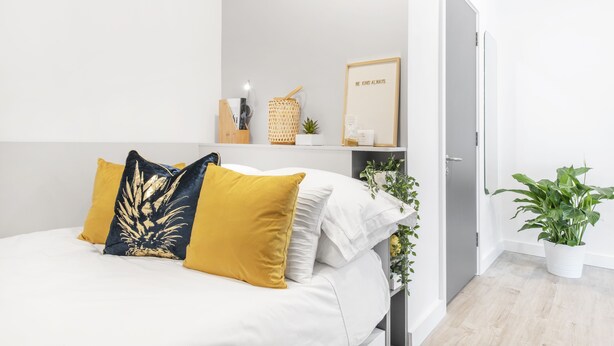 A neatly arranged bedroom with a bed, pillows, a bedside table, a shelf with decorative items, and a potted plant. - Yugo Explore - Highfield Park (Dublin)