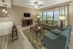 TV, fireplace, video games, DVD player