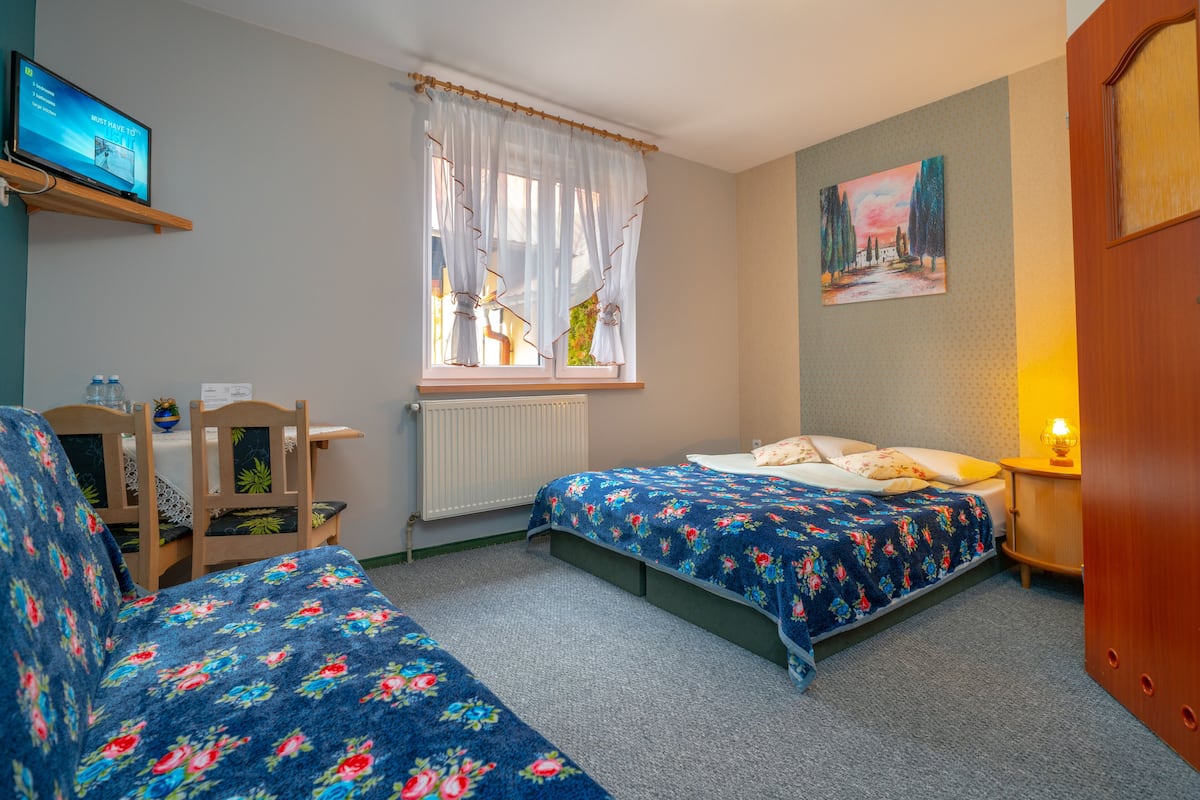 Een slaapkamer met twee bedden, een televisie op een plank, een raam met gordijnen, een schilderij aan de muur en een nachtkastje met een lamp.