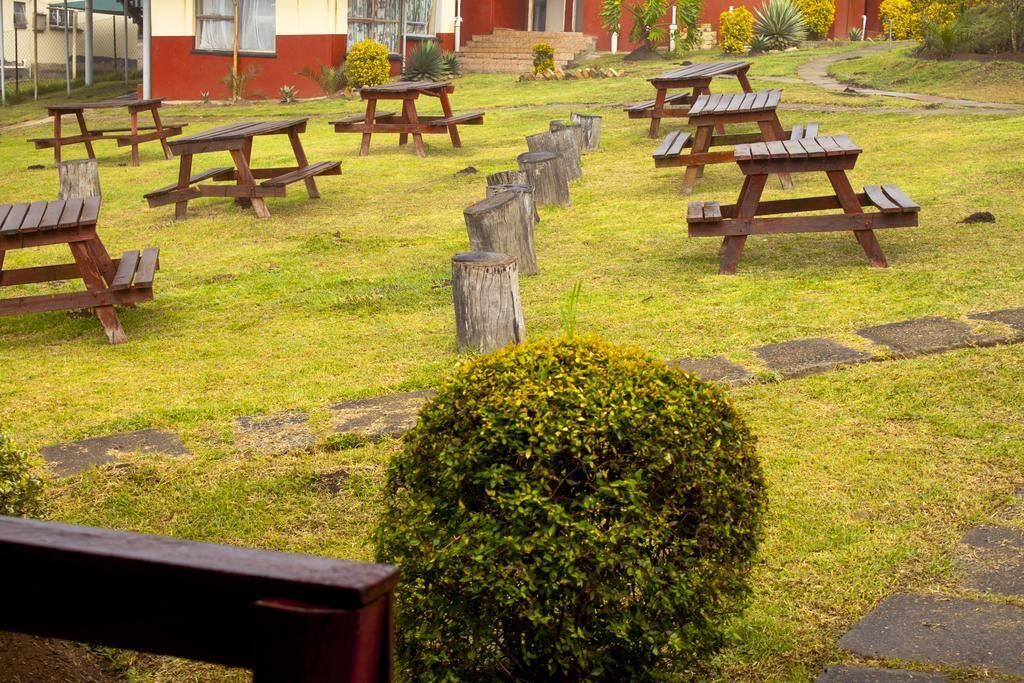 Un espacio al aire libre con césped, con mesas de picnic dispuestas en semicírculo, rodeado de escalones de piedra y un pequeño arbusto.