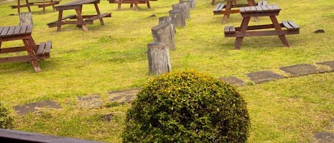 Un espacio al aire libre con césped, con mesas de picnic dispuestas en semicírculo, rodeado de escalones de piedra y un pequeño arbusto.