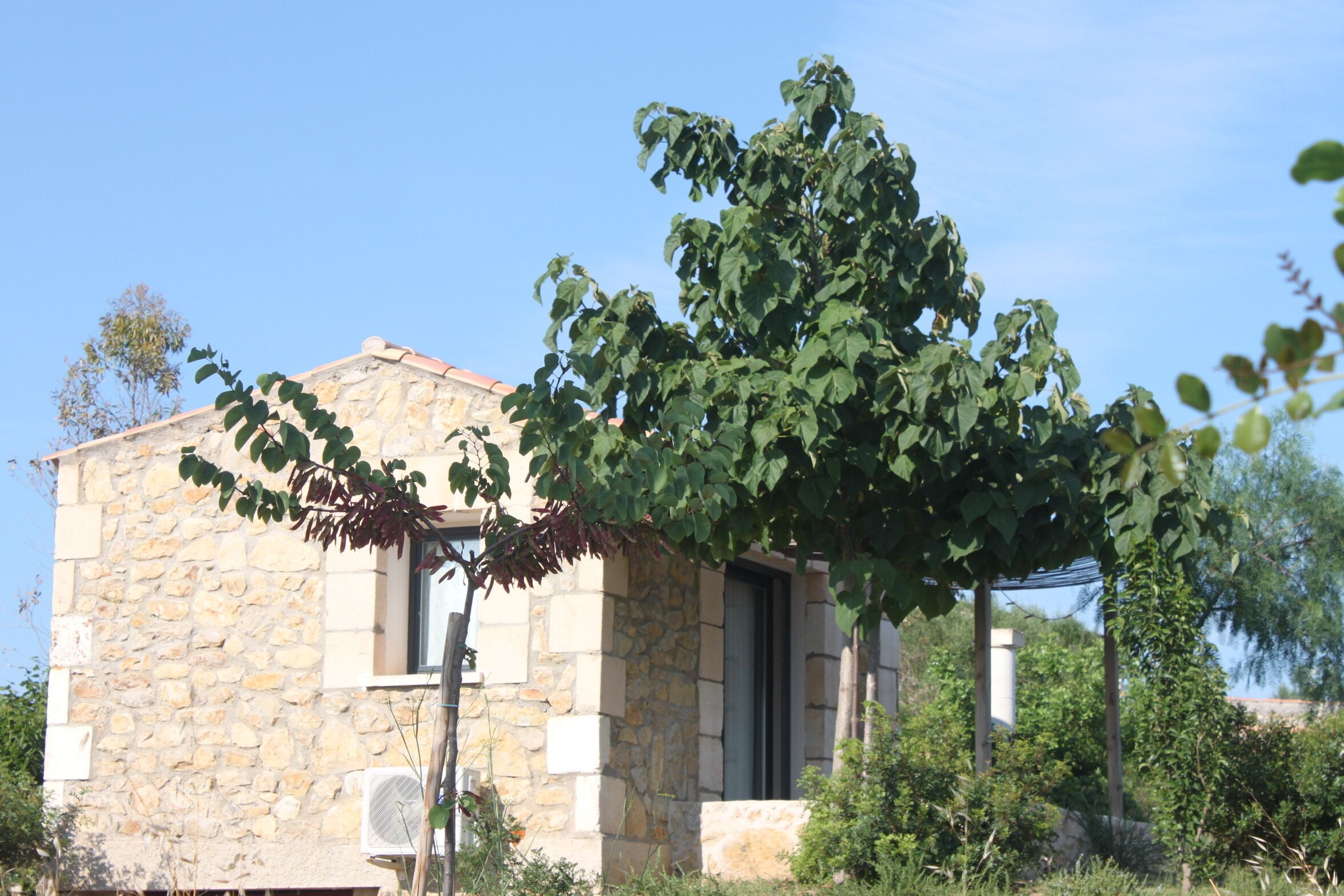 Photo - Agroturisme Es Racó De Maria