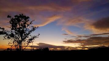 Silueta de un árbol contra un cielo al atardecer.