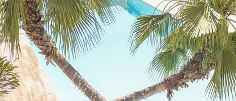 A pool area with palm trees, a covered seating area, and a lifebuoy.