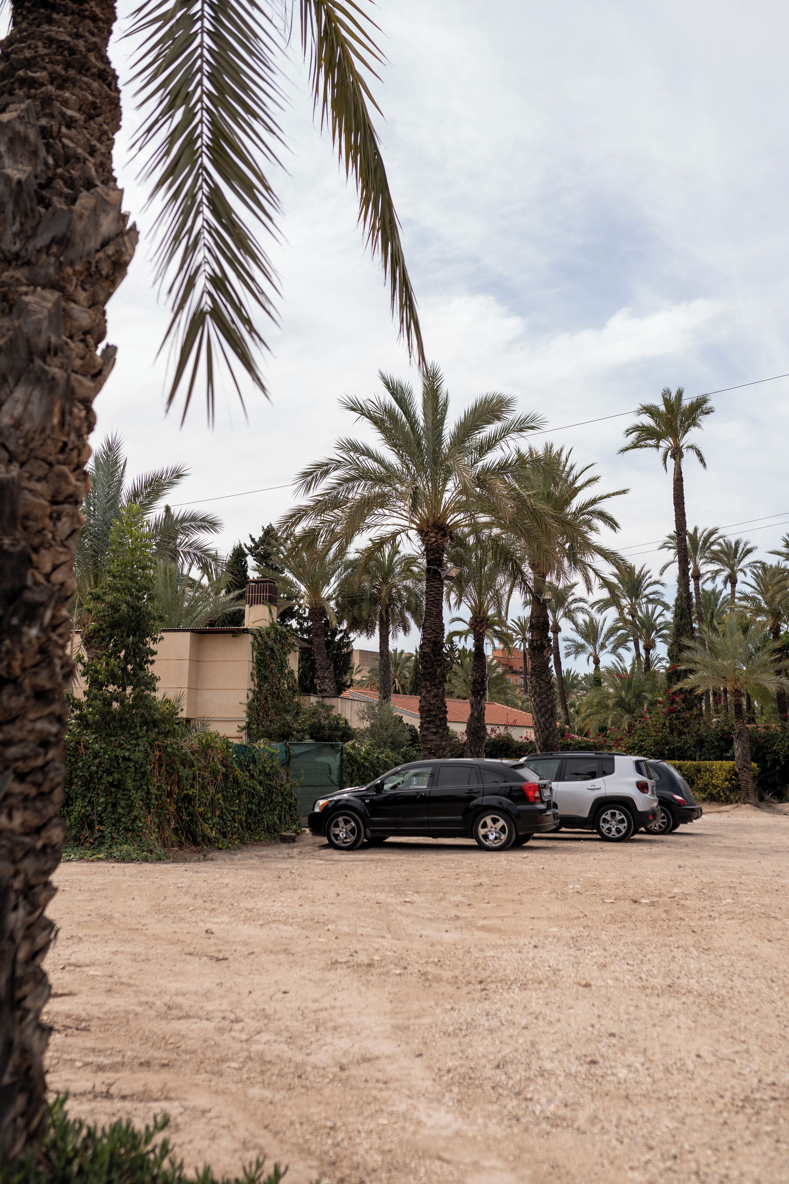 Un’area di parcheggio con due auto, circondata da palme e un edificio dalla facciata beige.