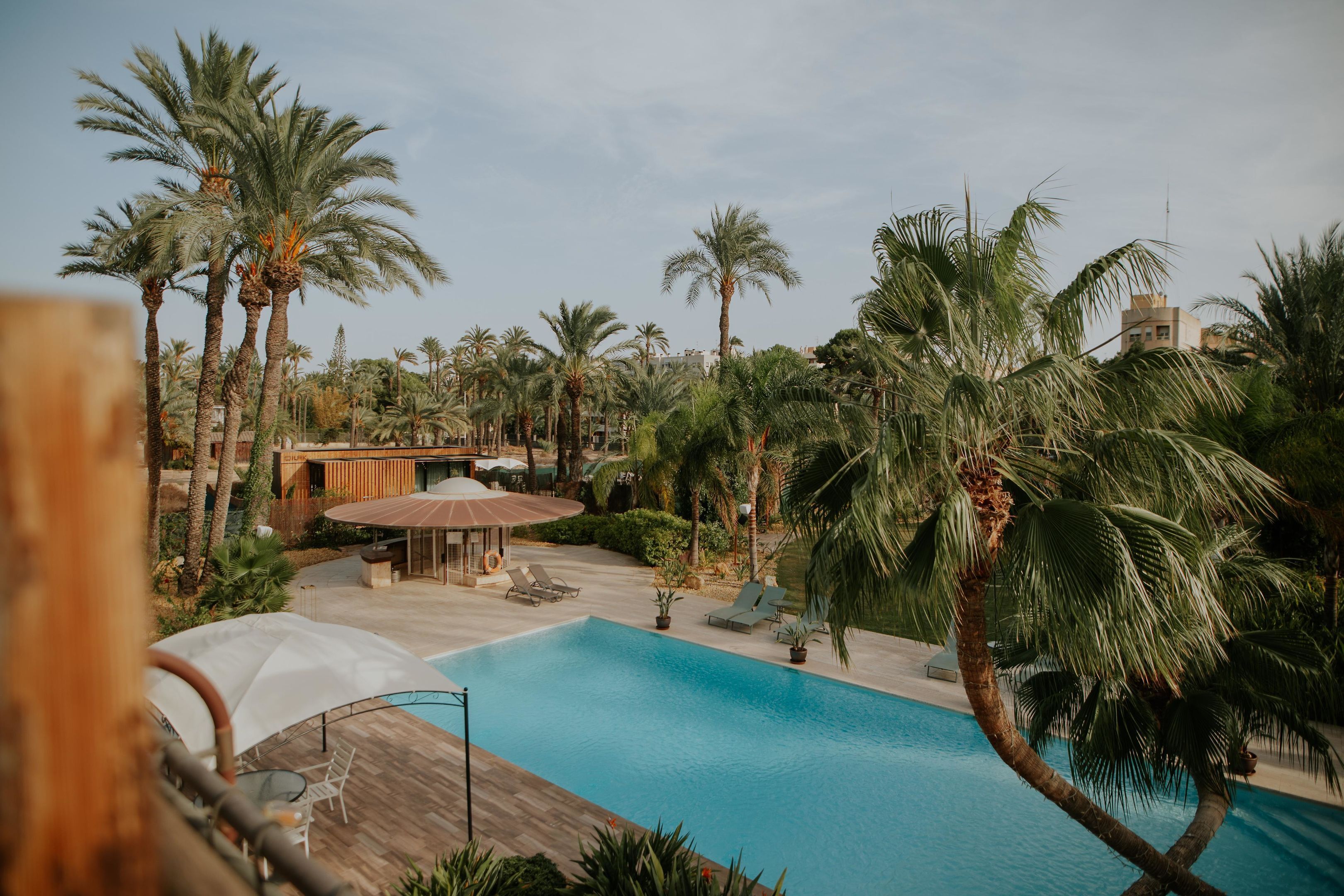 Zona de piscina con sillones de descanso y sombrillas, rodeada de palmeras y un edificio con fachada de madera.
