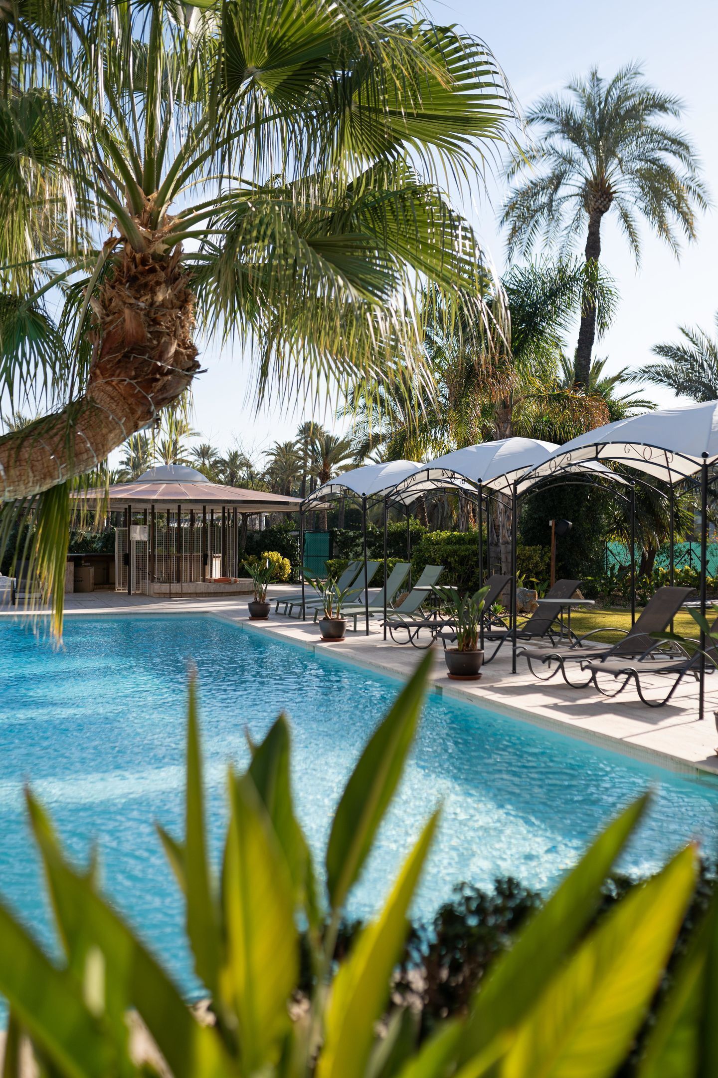 Piscine extérieure, parasols de plage, chaises longues