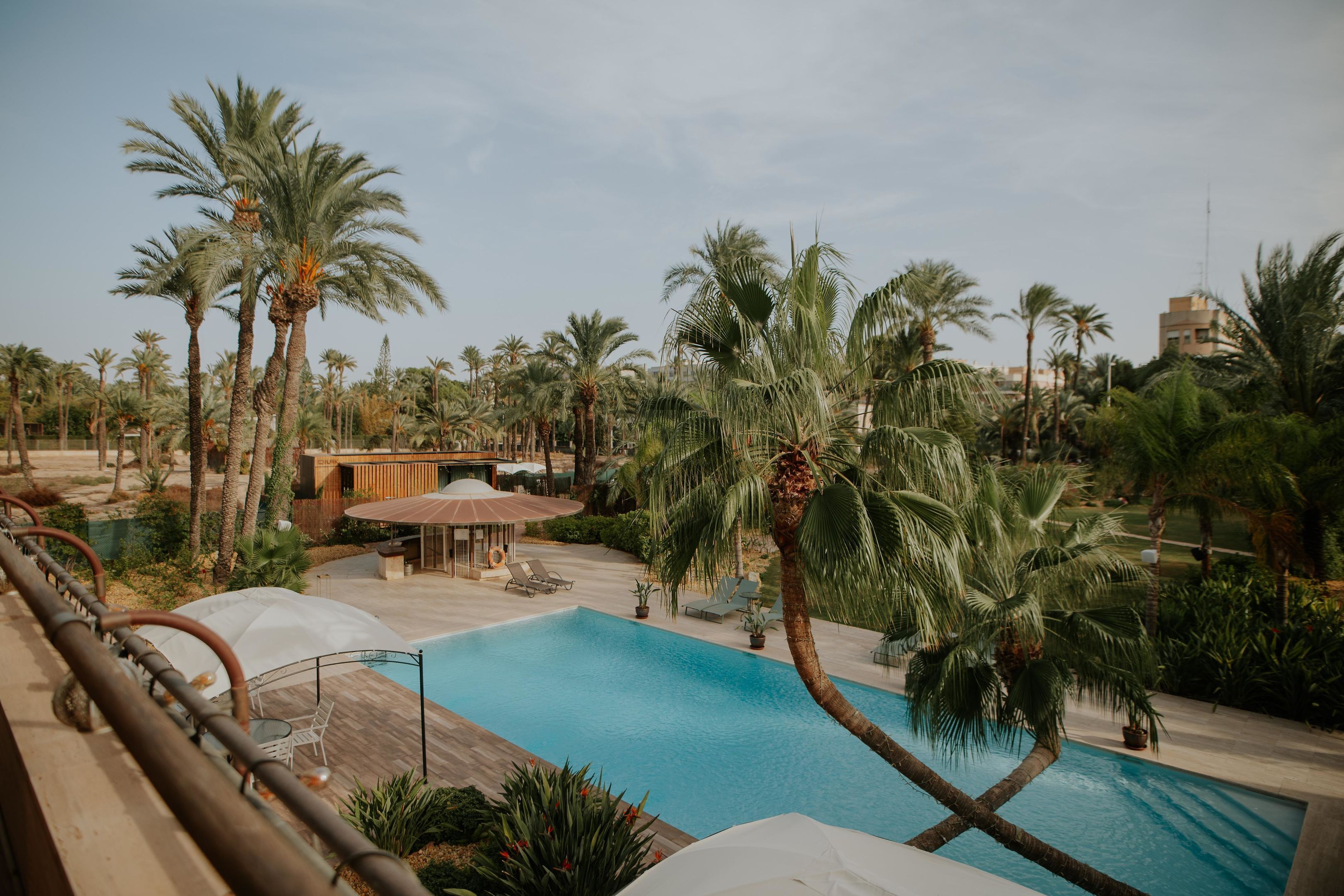 Un área de piscina con palmeras, sillones de descanso y una terraza de madera.