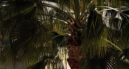 Hotel Boutique Hort de Nal