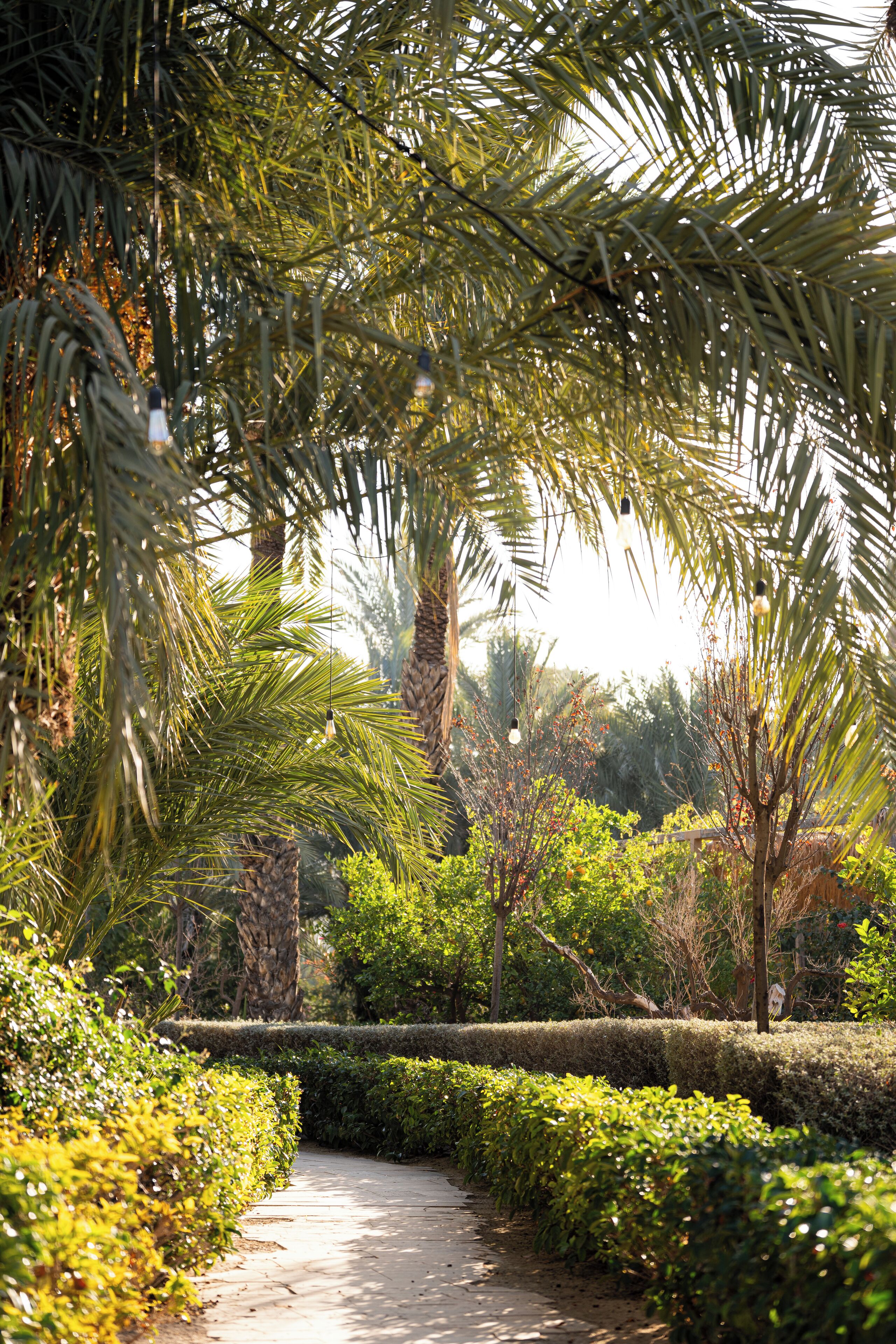 Photo - Hotel Boutique Hort de Nal