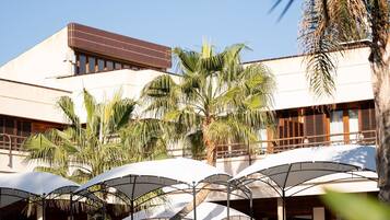 Un patio de hotel con mobiliario exterior, palmeras y un edificio de techo plano y ventanas amplias.