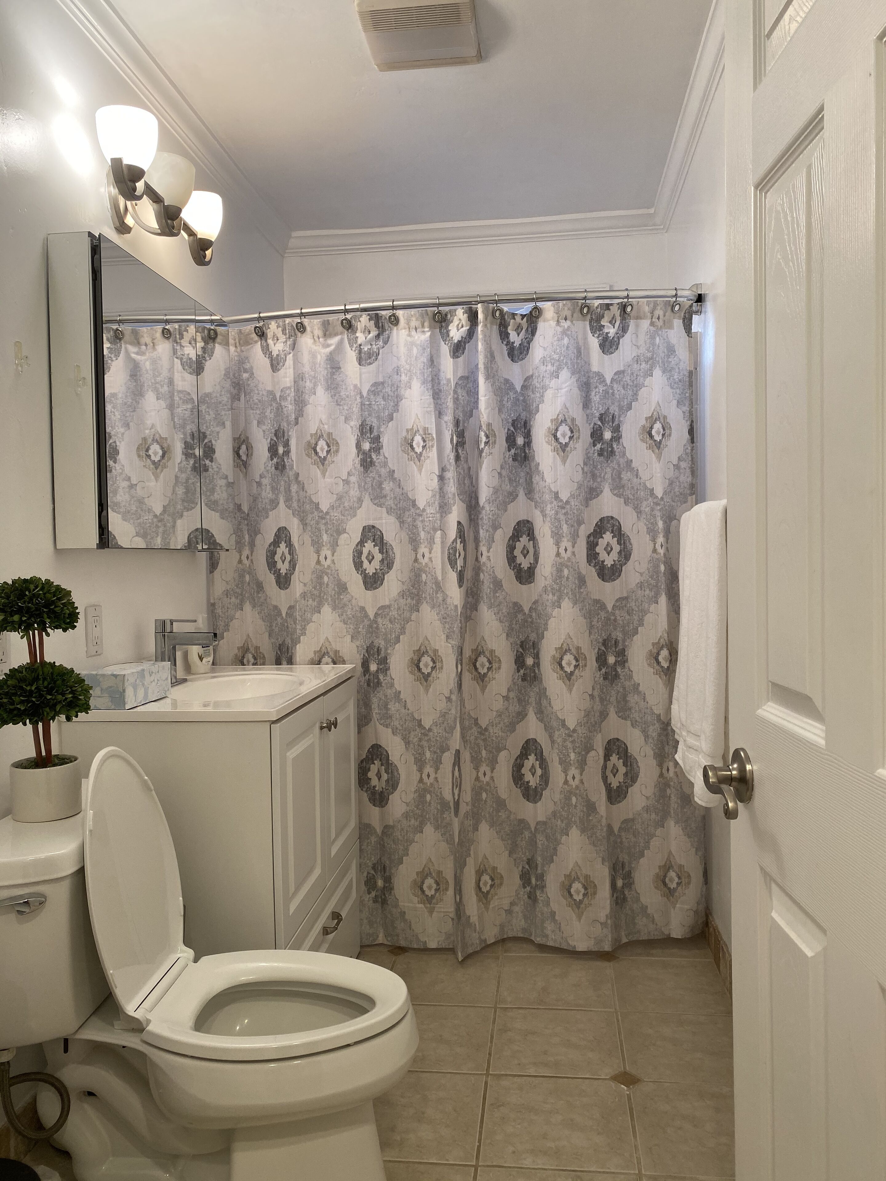 Un baño con inodoro, lavabo, espejo, cortina de ducha y una planta en maceta.
