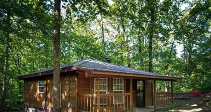 Baby Bear Studio Cabin