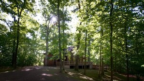 Eine Hütte mit einer Terrasse, umgeben von hohen Bäumen und einem Feldweg, der dorthin führt.