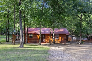 A rustic cabin with a metal roof, surrounded by trees and a gravel path. - Big Buck Inn- Broken Bow/Hochatown- 2bd (Broken Bow)