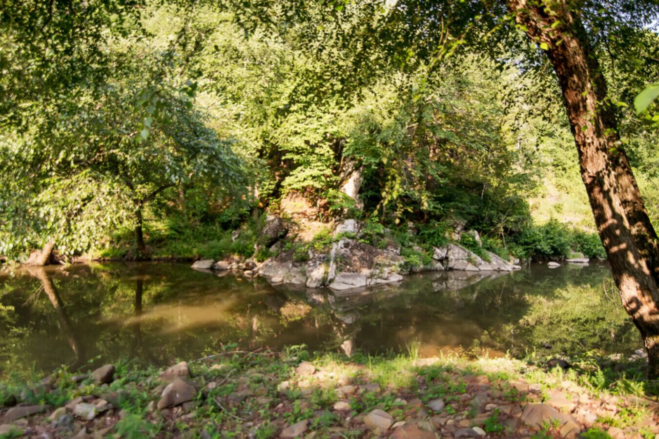 منوع