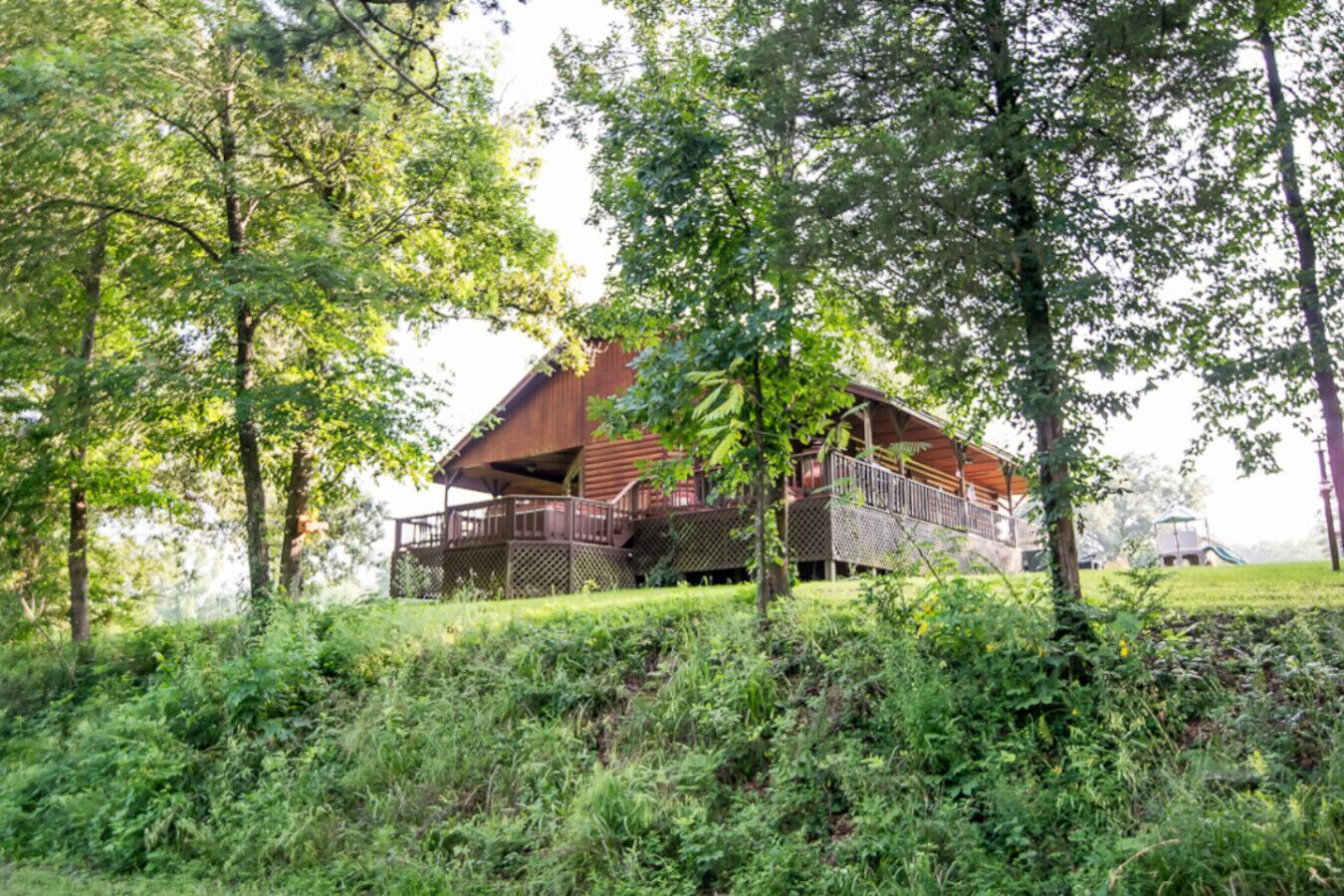 A wooden cabin with a deck, surrounded by dense greenery and trees.