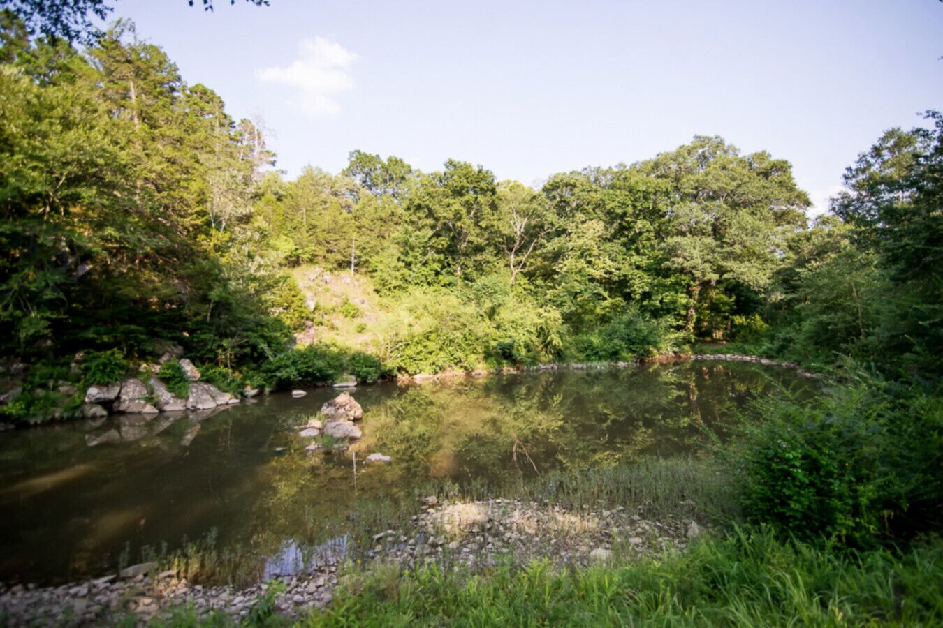 A natural landscape with a river, dense greenery, and a rocky shoreline.