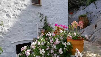 DĂ©tail de lâextĂ©rieur