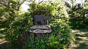 Un senyal de fusta amb la silueta d'un os i la inscripció 'BEAR WOODS', que indica una zona natural.