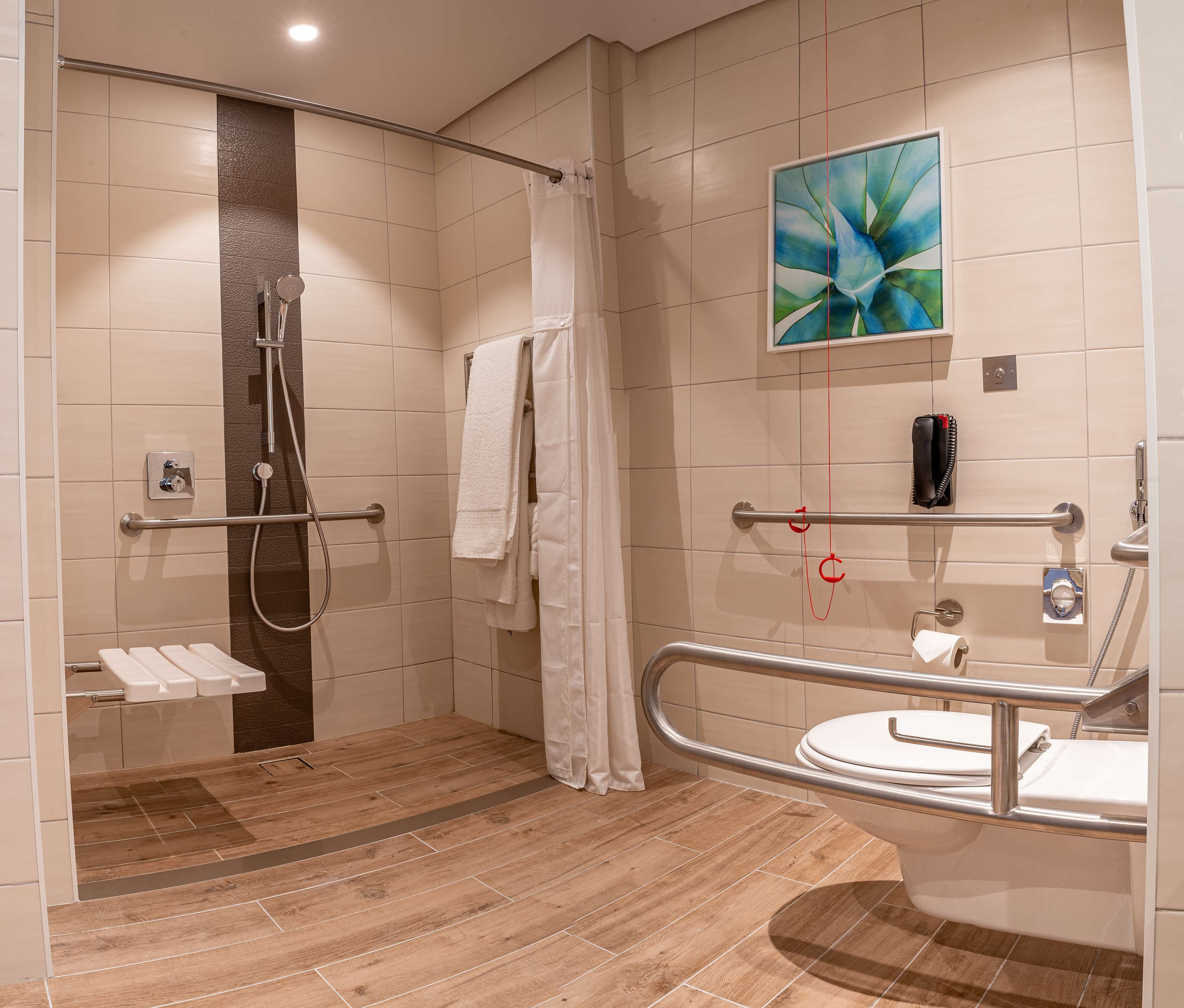 standard room, 1 king bed, accessible | bathroom shower