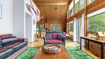 TV, fireplace, DVD player