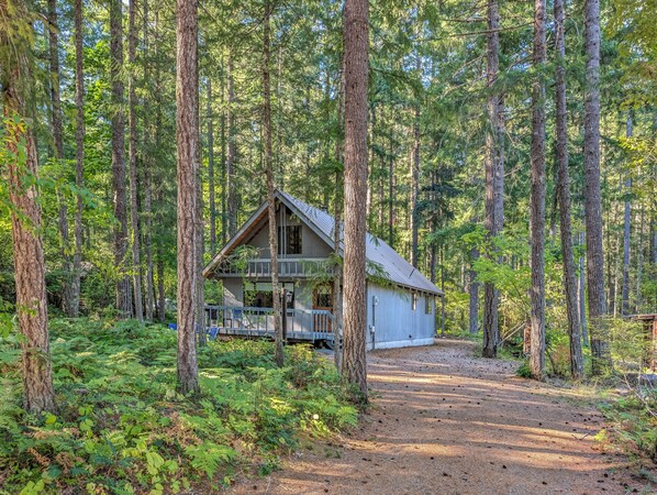 A cabin surrounded by tall trees in a forest.