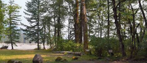 A forested campground with a gravel path leading to a parking area.