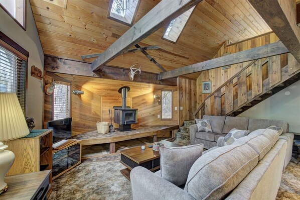 Smart TV, fireplace, DVD player, video library