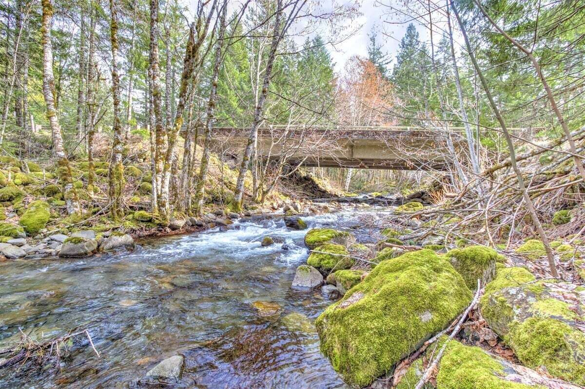 A forest stream with a bridge, surrounded by trees and moss-covered rocks.