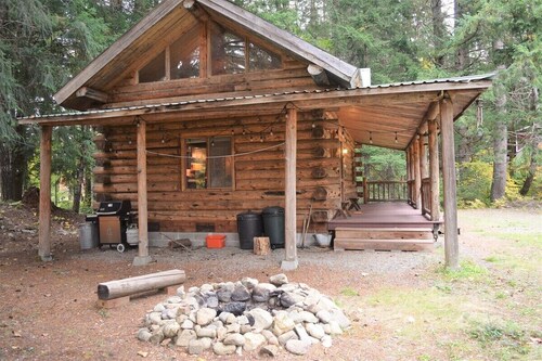 Cascade Log Cabin | Mt Rainier, WIFI, Log Cabin