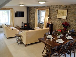 TV, fireplace