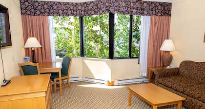 555 Mt. Crested Butte Grand Lodge Condo with views