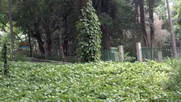 Jardines del alojamiento