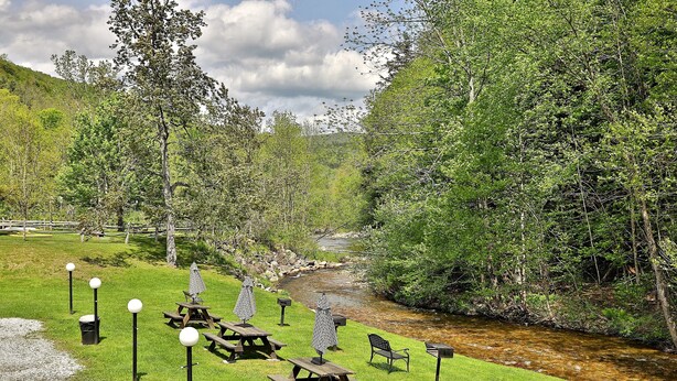 Un área de picnic a la orilla del río con mesas y bancos, rodeada de abundante vegetación y árboles.