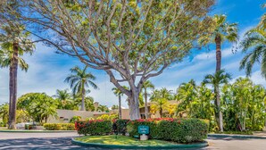 A reception area with a large tree, palm trees, and a building in the background.