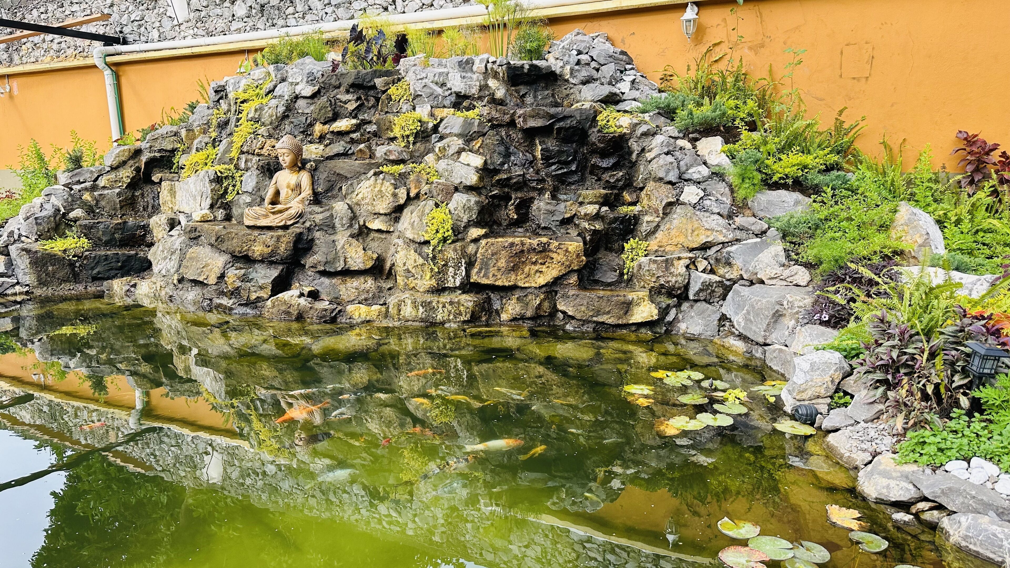 A serene pond with a Buddha statue, surrounded by rocks and lush greenery.