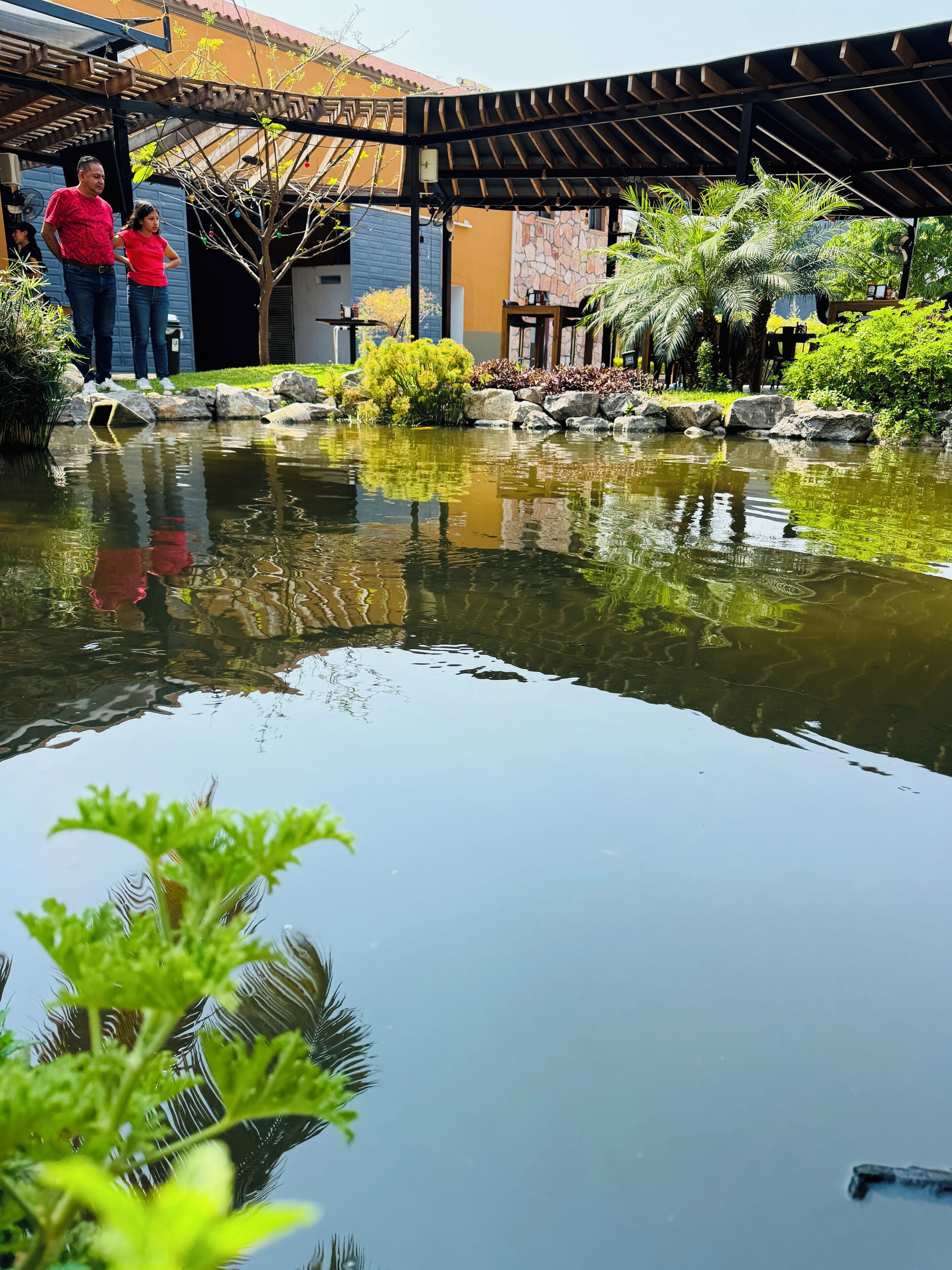 Un jardín tranquilo con un estanque, una pérgola y un edificio de piedra.